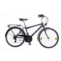   Neuzer Venezia 30 férfi fekete/szürke-fehér 17 City - Városi kerékpár