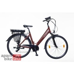 Neuzer Hollandia Delux női 19,5 Bordó